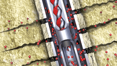 1689215026918072.gif 2.gif